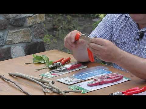 Видео: Обзор мощных секаторов:  LOWE 10.107 (Часть 2)