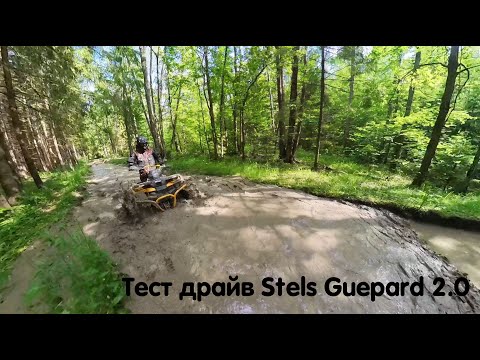 Видео: Stels Guepard 2.0 полноценный тест драйв, честный отзыв, важная информация. Guepard на 30 Горилле.