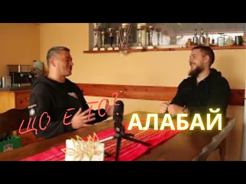 Видео: Имам Куче за Алабай! Що е то, САО?