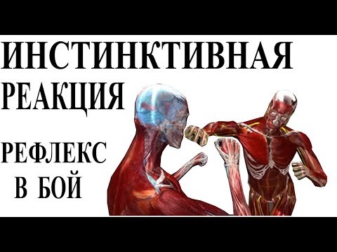 Видео: Как превратить рефлексы в боевую технику. Инстинктивная реакция.