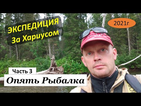 Видео: Экспедиция. Хариус. Пермский край. Часть 3. Опять Рыбалка.