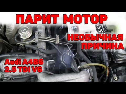 Видео: Мотор парит, необычная причина. Audi A4B6 2.5 TDI V6.