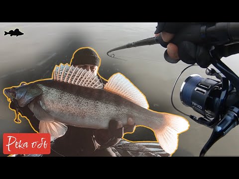 Видео: Сибирь осенний на джиг судак щука 2022 г