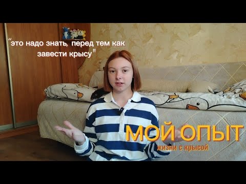 Видео: ЧТО НАДО ЗНАТЬ ПЕРЕД ТЕМ КАК ЗАВЕСТИ КРЫСУ/ПОДГОТОВКА К КРЫСЕ