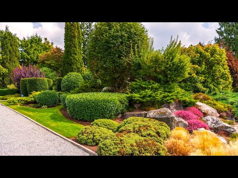 Видео: Лучшие идеи для создания привлекательного сада / The best ideas for creating an attractive garden