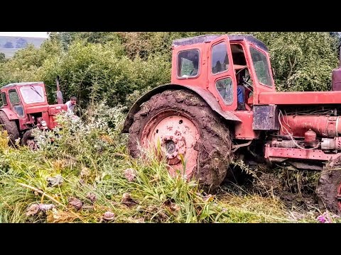 Видео: Трактор Т40 Застрял в Грязи | Оффроуд на тракторах