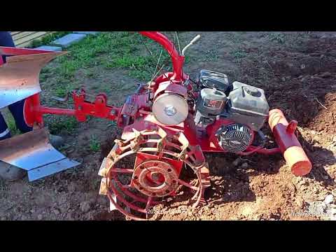 Видео: 24 мая 2024 г.