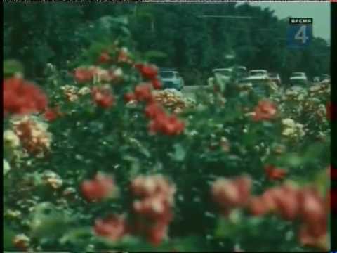 Видео: Алма-Ата [1979] часть 1-ая