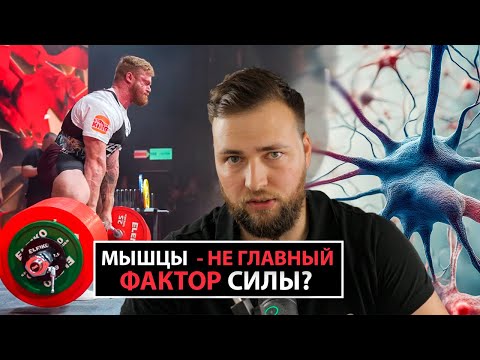 Видео: МЫШЦЫ - НЕ ГЛАВНЫЙ ФАКТОР СИЛЫ?