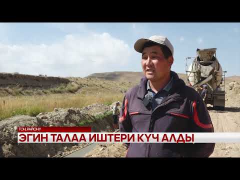 Видео: Эгин талаа иштери күч алды