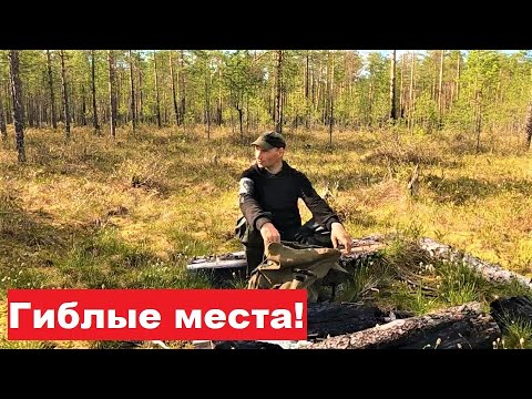 Видео: Крупный металл больше не копаю. По гиблым местам. Здесь люди не ходят. Навестил озеро среди болот.