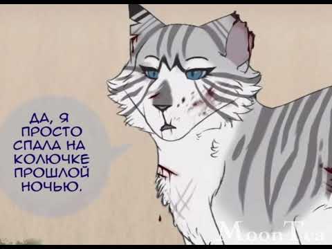 Видео: КОТЫ-ВОИТЕЛИ ОЗВУЧКА ПРИКОЛОВ И КОМИКСОВ(#1)👇