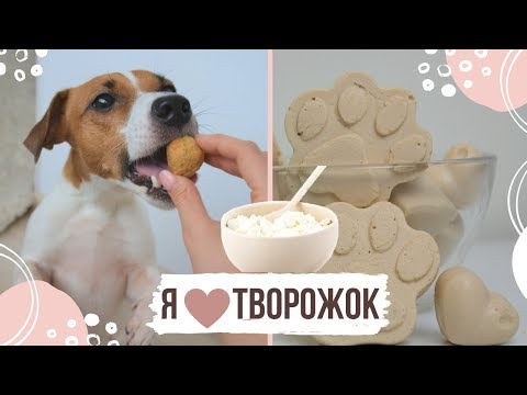 Видео: НЕ УДЕРЖАЛАСЬ И СЪЕЛА СОБАЧЬИ ВКУСНЯШКИ!!! | ОЧЕНЬ ВКУСНЫЕ И ПОЛЕЗНЫЕ ЛАКОМСТВА ДЛЯ СОБАК