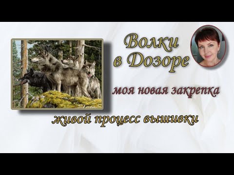 Видео: Волки в Дозоре/ моя новая закрепка/ живой процесс вышивки/ Совиный лес
