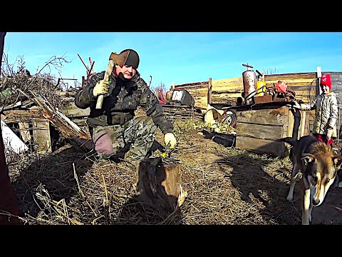 Видео: Работаю на участке  Куча двигателей в металлоломе!