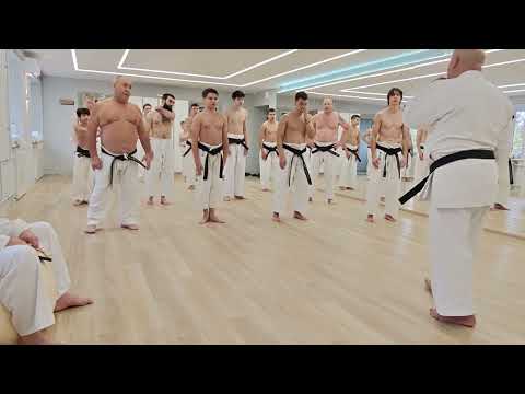 Видео: Санчин1