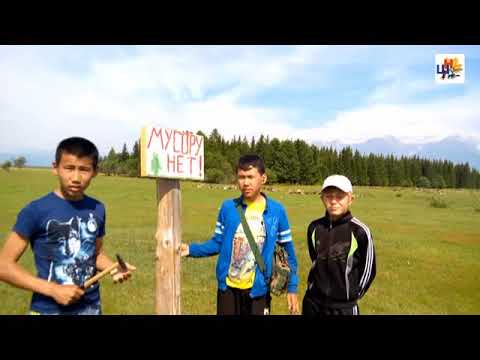 Видео: Школьные новости  специальный выпуск от 20 октября 2016г.