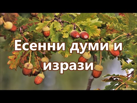 Видео: Уча английски: Есенни думи + FREE PDF