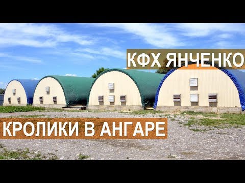 Видео: Содержание кроликов в ангаре. Кроликоферма Сергея Янченко. Кабардино-Балкария.
