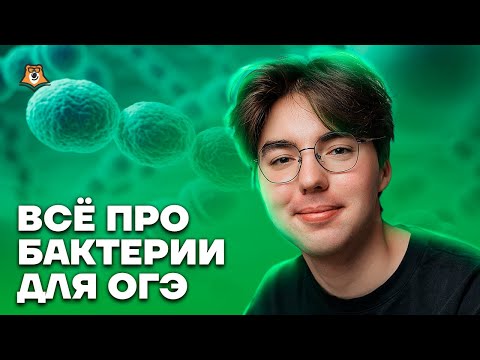 Видео: Все о бактериях для ОГЭ | Биология ОГЭ 2023 | Умскул