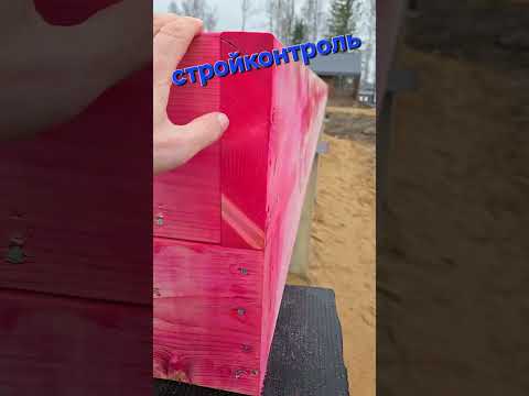 Видео: 7 ноября 2025 г.