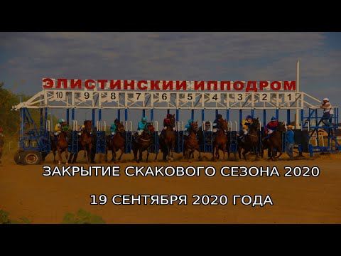 Видео: Закрытие скакового сезона 2020 года. Элистинский ипподром.