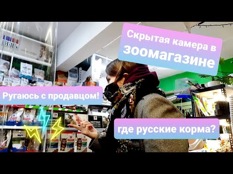 Видео: Узнала где покупать корма для кошек! Жизнь с мейн-кунами