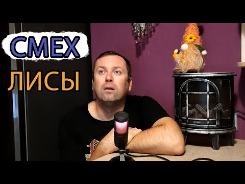 Видео: Шамиль Идиатуллин Смех лисы