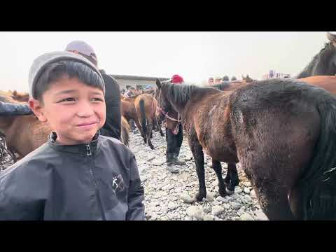 Видео: 01.11.2025 ЖЫЛКЫ БАЗАР✅ МАНАС ШААРЫ