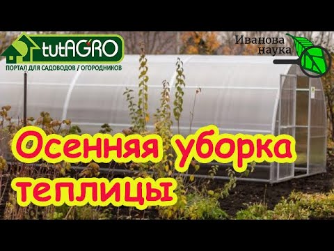 Видео: ДЕЗИНФЕКЦИЯ ПО СИДЕРАТАМ: чистка теплицы без серы и ядов. Эта комбинация быстро прогонит все плохое!