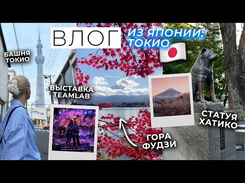 Видео: ЯПОНИЯ ВЛОГ: ТОКИО 🇯🇵 Башня Токио, выставка TeamLab Borderless, гора Фудзи, Асакуса и Shibuya Sky