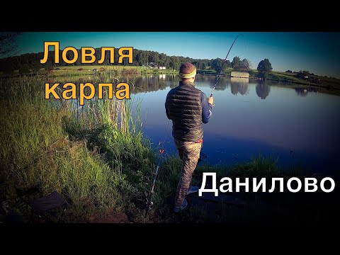 Видео: Ловля карпа на платнике Фишка Данилово