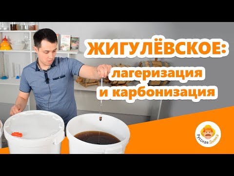 Видео: Жигулевское пиво: розлив на карбонизацию