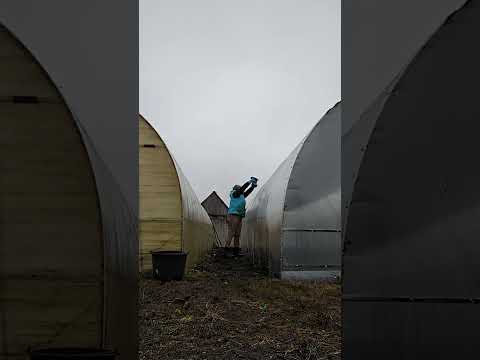 Видео: 11.11.2025. погода даёт ремонтировать теплицы.