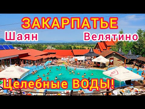Видео: Отдых в ЗАКАРПАТЬЕ. ШАЯН! Я не верил, но вода здесь ЦЕЛЕБНАЯ. МИНЕРАЛЬНЫЕ источники Закарпатья