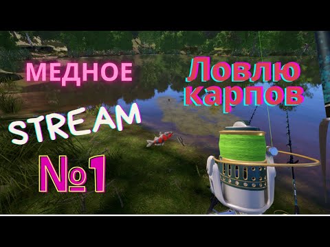 Видео: 🔴 КАРПЫ НА МЕДНОМ|🔥Stream №1 |Русская Рыбалка 4🔴| ЛОВИМ РЫБКУ|