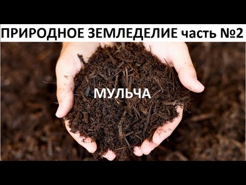 Видео: Мульча в природном земледелии.