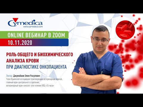 Видео: Роль общего и биохимического анализа крови при диагностике онкопациента