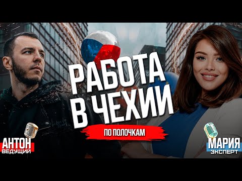 Видео: Работа в Чехии. Корпорации мечтают о студентах. Самые востребованные вакансии Праги в 2023 году.