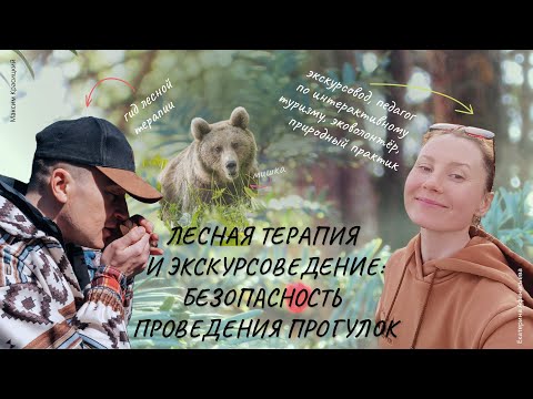 Видео: Лесная терапия и экскурсоведение: безопасность проведения прогулок | Клуб лесных гуляльщиков