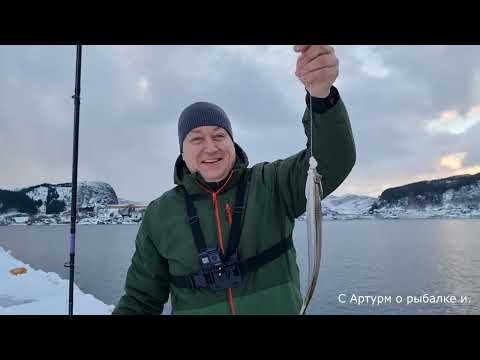 Видео: Как завершили так и начали. Зимняя рыбалка, жарко в утри. Норвегия