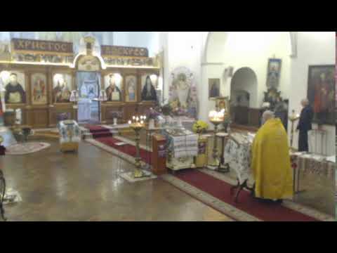 Видео: 22-га неділя після П'ятдесятниці. Глас 5.