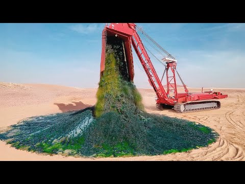 Видео: Вот Зачем Африка Закапывает Тонны Водорослей под Песком Пустыни