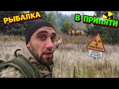 Видео: Нелегалом в зону на рыбалку,на речку Припять. 2-Часть