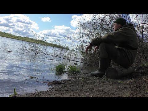 Видео: Рыбалка на оке! Есть трофейчики! ЗАБРАЛСЯ ДАЛЕКО