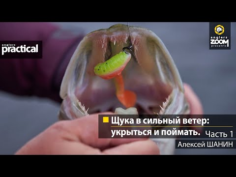 Видео: Щука в сильный ветер: укрыться и поймать. Алексей Шанин. Часть 1. Anglers Practical