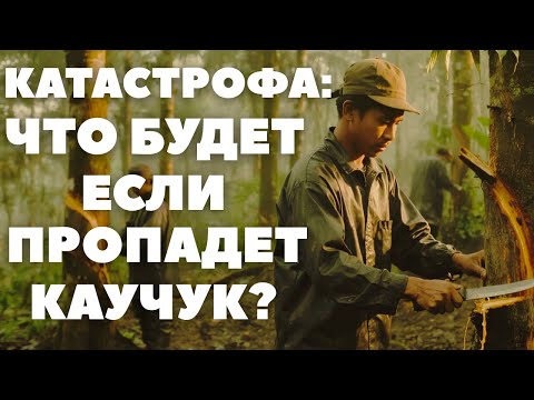 Видео: Что будет если пропадёт Каучук | Природная Катастрофа