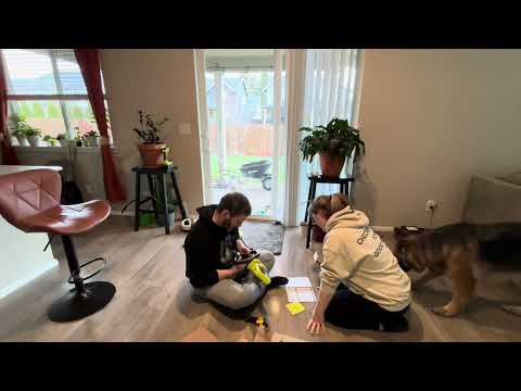 Видео: 73 день года. Как мы обустраиваем двор и создаём уют.