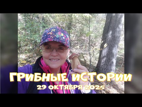 Видео: Грибные истории, 29-10-2025