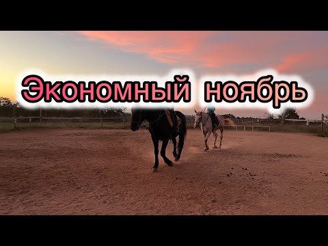 Видео: День 1-3🍂Экономный ноябрь 2024🍂#экономлю #еда #запасы #рецепты